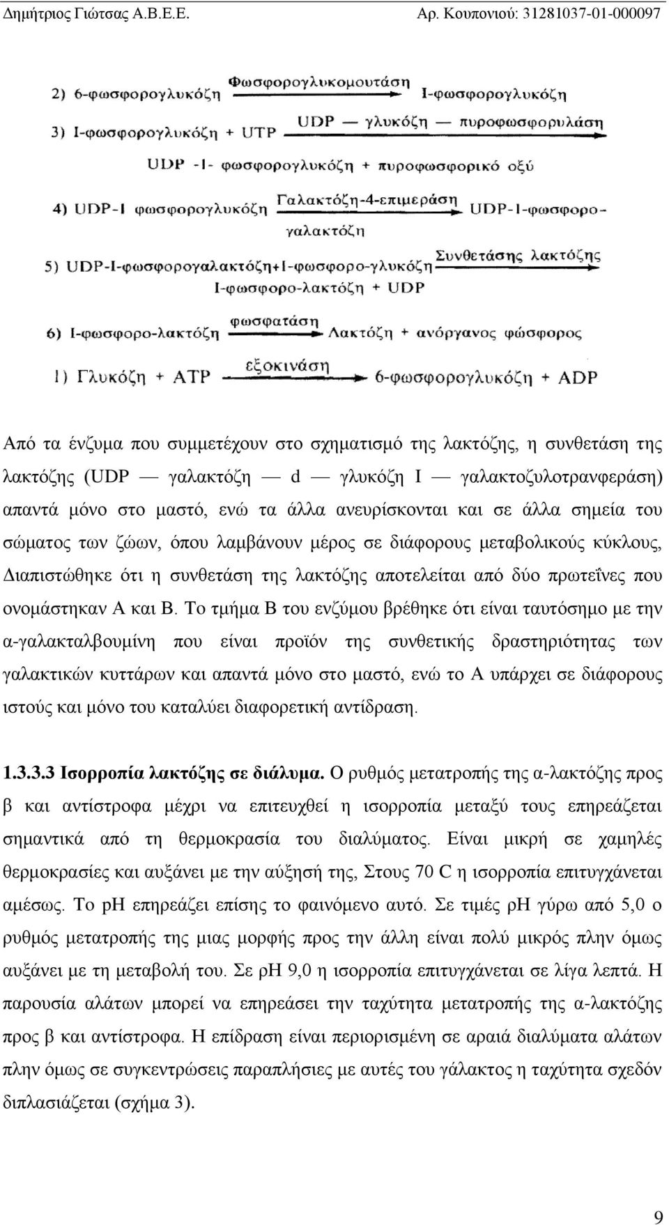 To τμήμα Β του ενζύμου βρέθηκε ότι είναι ταυτόσημο με την α-γαλακταλβουμίνη που είναι προϊόν της συνθετικής δραστηριότητας των γαλακτικών κυττάρων και απαντά μόνο στο μαστό, ενώ το Α υπάρχει σε