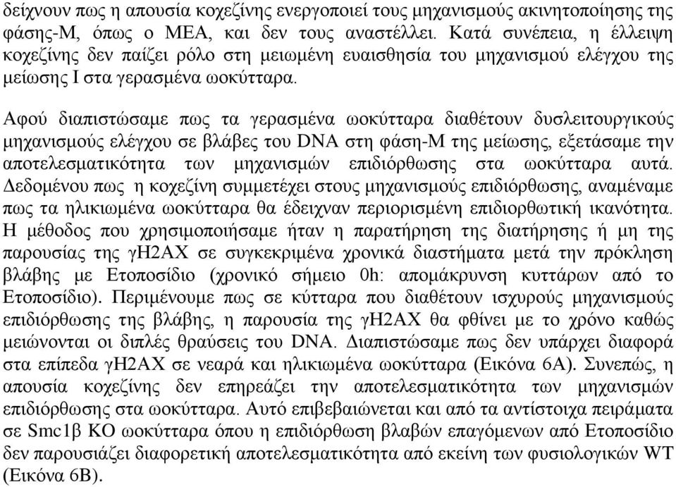 Αφού διαπιστώσαμε πως τα γερασμένα ωοκύτταρα διαθέτουν δυσλειτουργικούς μηχανισμούς ελέγχου σε βλάβες του DNA στη φάση-μ της μείωσης, εξετάσαμε την αποτελεσματικότητα των μηχανισμών επιδιόρθωσης στα