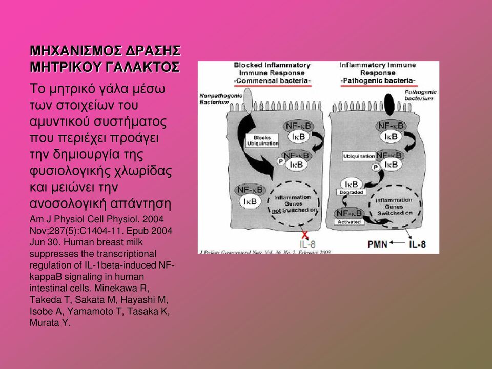 2004 Nov;287(5):C1404-11. Epub 2004 Jun 30.