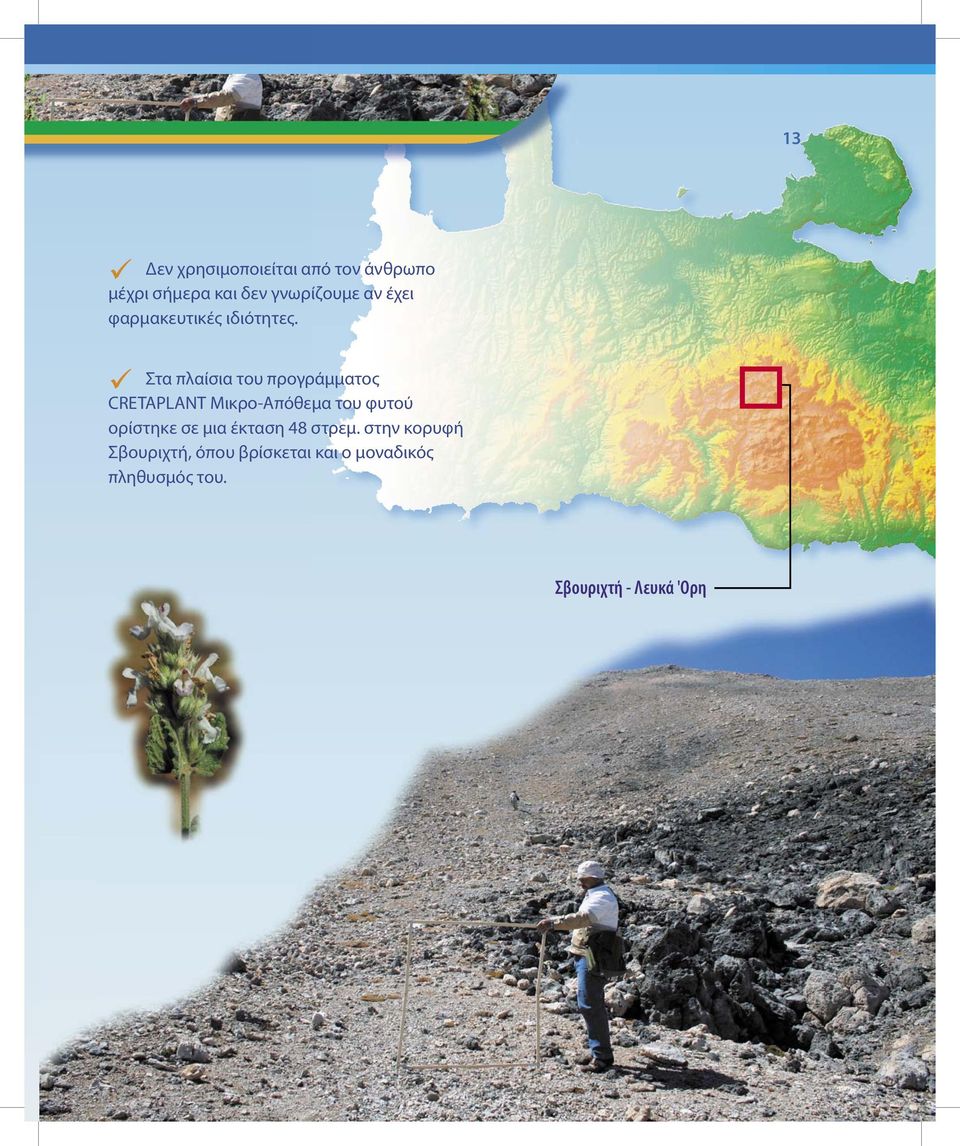 Στα πλαίσια του προγράμματος CRETAPLANT Μικρο-Απόθεμα του φυτού ορίστηκε