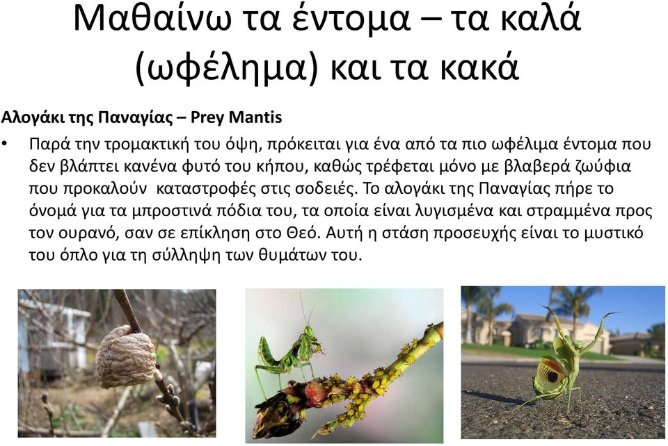 καταστροφές στις σοδειές.