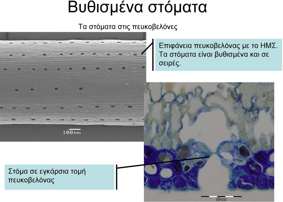 το ΗΜΣ.