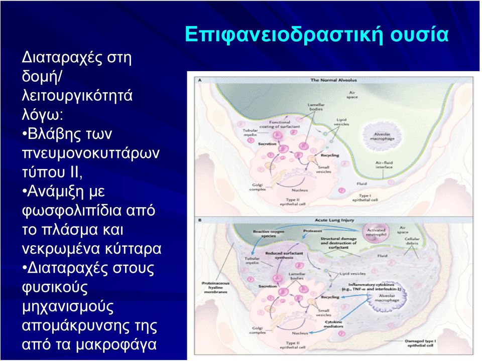 πλάσμα και νεκρωμένα κύτταρα Διαταραχές στους φυσικούς