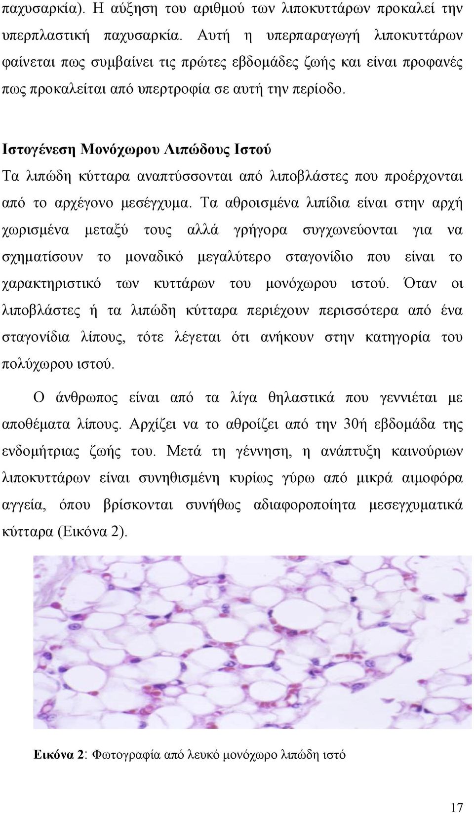 Ιστογένεση Μονόχωρου Λιπώδους Ιστού Τα λιπώδη κύτταρα αναπτύσσονται από λιποβλάστες που προέρχονται από το αρχέγονο μεσέγχυμα.