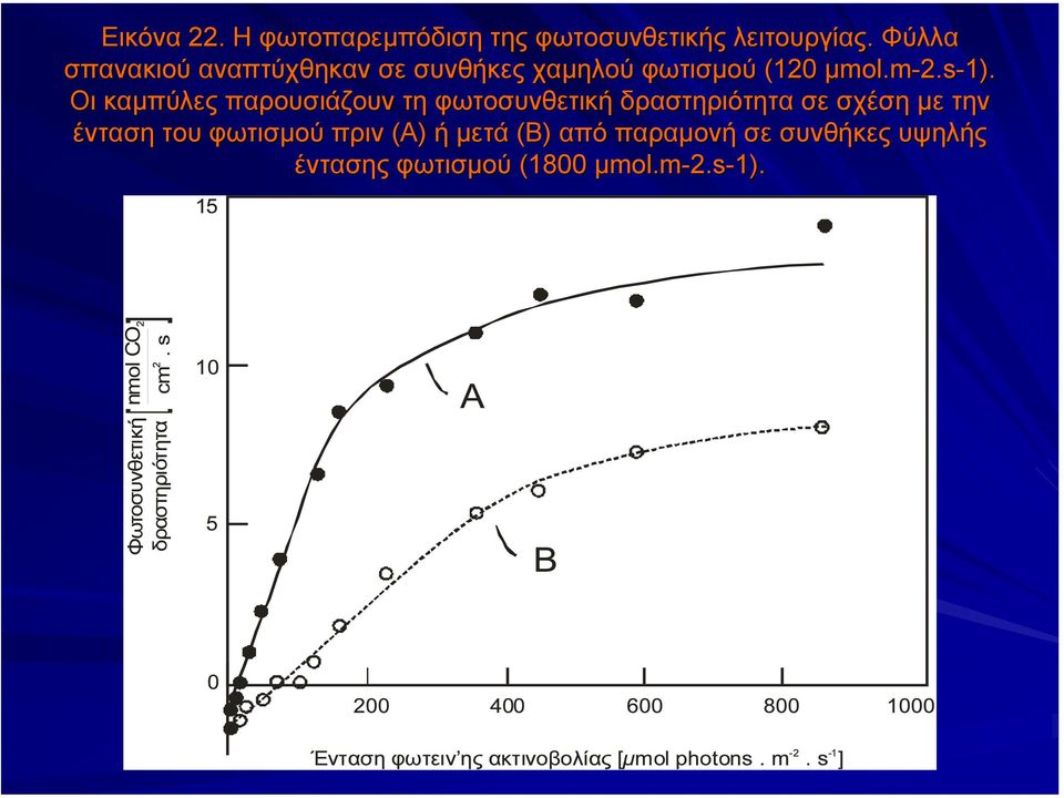 Οι καµπύλες παρουσιάζουν τη φωτοσυνθετική δραστηριότητα σε σχέση µε την ένταση