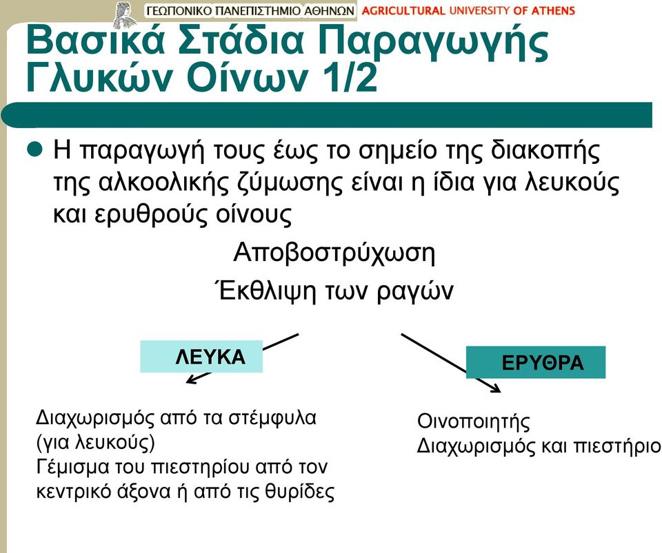 Έκθλιψη των ραγών ΛΕΥΚΑ ΕΡΥΘΡΑ Διαχωρισμός από τα στέμφυλα (για λευκούς) Γέμισμα του