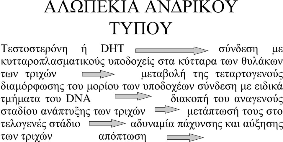 υποδοχέων σύνδεση με ειδικά τμήματα του DNA διακοπή του αναγενούς σταδίου ανάπτυξης των