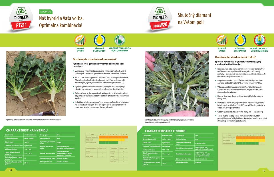 odolnosť voči poliehaniu Výborný zdravotný stav po zime dáva predpoklad vysokého výnosu. Dozrievanie: stredne neskorá zrelosť Hybrid najnovšej generácie s výbornou odolnosťou voči chorobám.
