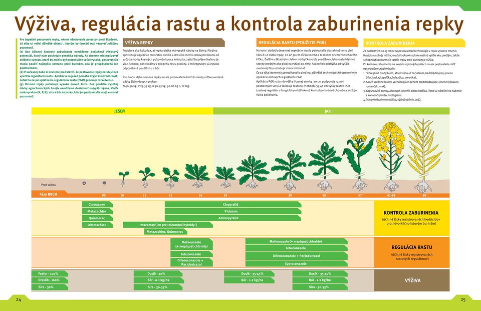 Ak chceme minimalizovať zníženie výnosu, ktoré by mohlo byť potenciálne veľmi vysoké, pestovatelia musia použiť najlepšiu ochranu proti burinám, aká je prispôsobená ich podmienkam.