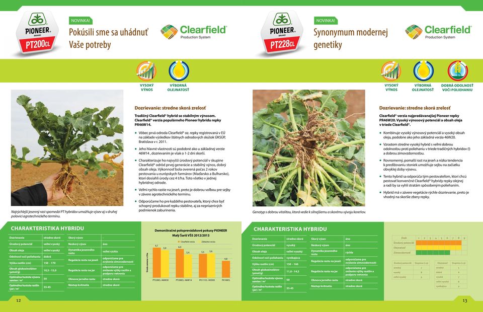 Najrýchlejší jesenný rast spomedzi PT hybridov umožňuje výsev aj v druhej polovici agrotechnického termínu. Tradičný Clearfield hybrid so stabilným výnosom.