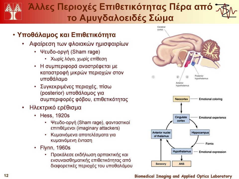 συμπεριφορές φόβου, επιθετικότητας Ηλεκτρικό ερέθισμα Hess, 1920s Ψευδο-οργή (Sham rage), φανταστικοί επιτιθέμενοι (imaginary attackers) Κυμαινόμενα