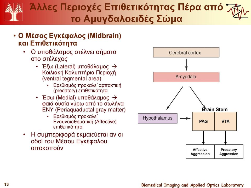 επιθετικότητα Έσω (Medial) υποθάλαμος φαιά ουσία γύρω από το σωλήνα ΕΝΥ (Periaquaductal gray matter) Ερεθισμός προκαλεί Ενσυναισθηματική