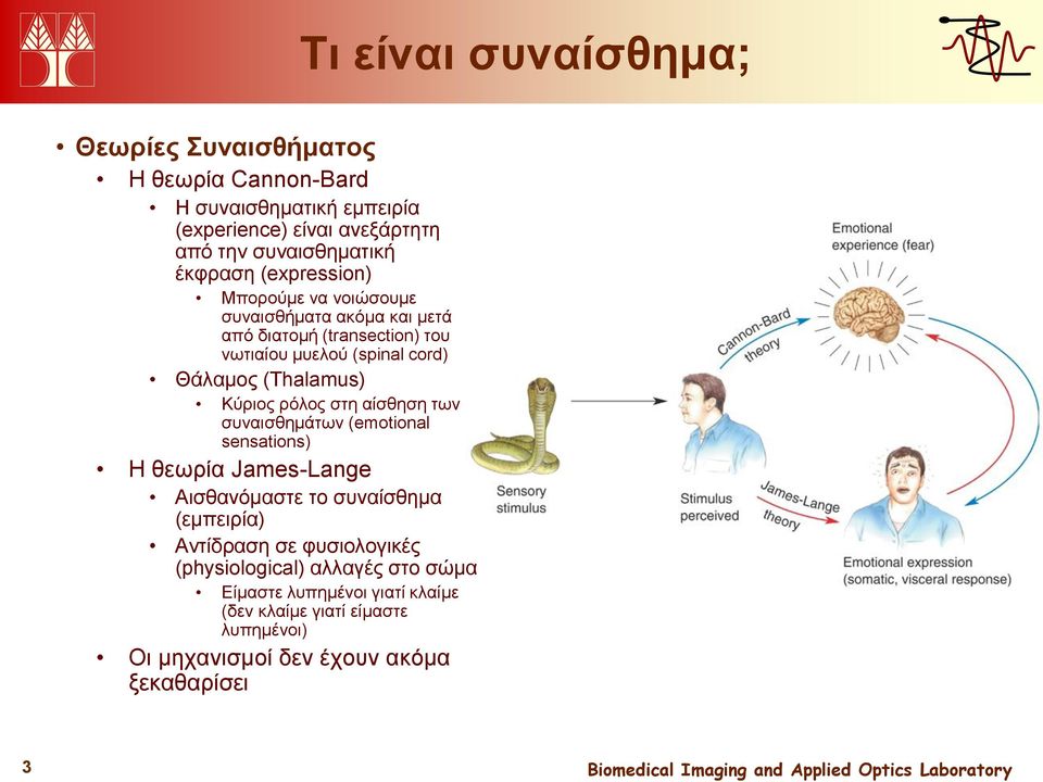 (Thalamus) Κύριος ρόλος στη αίσθηση των συναισθημάτων (emotional sensations) Η θεωρία James-Lange Αισθανόμαστε το συναίσθημα (εμπειρία) Αντίδραση