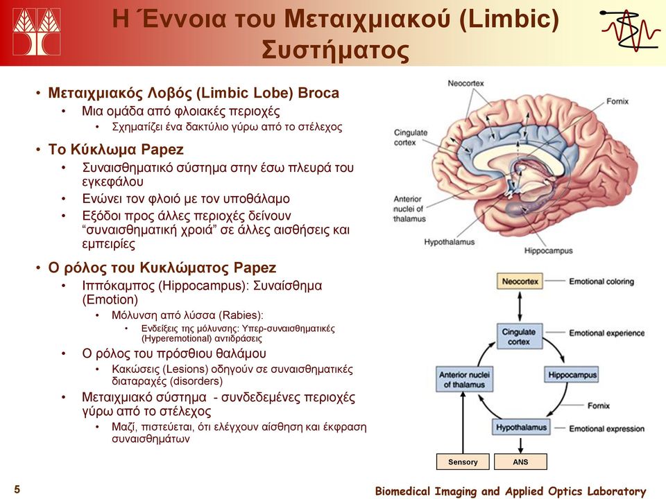 Ιππόκαμπος (Hippocampus): Συναίσθημα (Emotion) Μόλυνση από λύσσα (Rabies): Ενδείξεις της μόλυνσης: Υπερ-συναισθηματικές (Hyperemotional) αντιδράσεις Ο ρόλος του πρόσθιου θαλάμου Κακώσεις