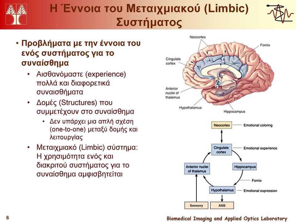 συμμετέχουν στο συναίσθημα Δεν υπάρχει μια απλή σχέση (one-to-one) μεταξύ δομής και λειτουργίας