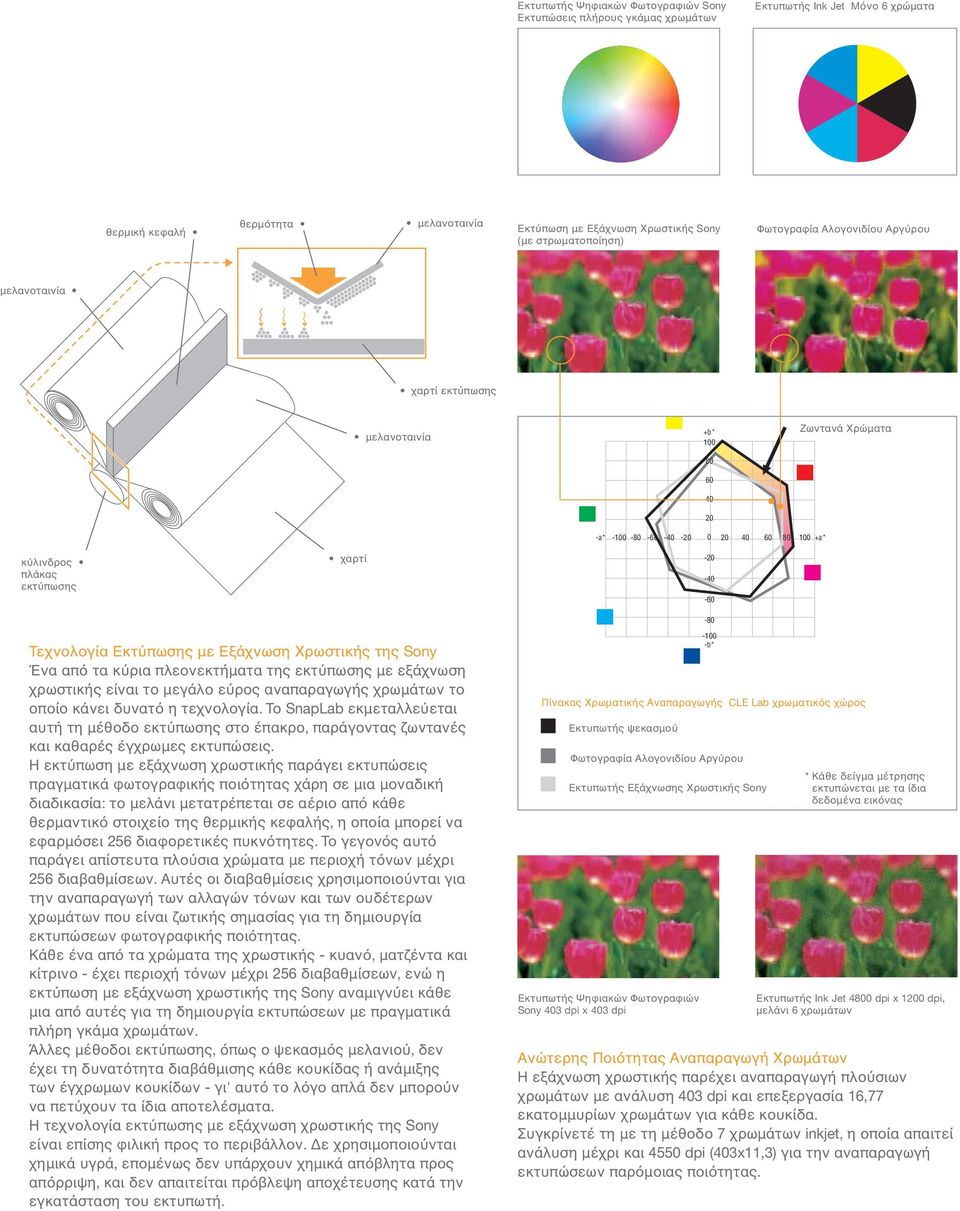 -60-80 Magenta Τεχνολογία Εκτ πωσης µε Εξάχνωση Χρωστικής της Sony Ένα απ τα κ ρια πλεονεκτήµατα της εκτ πωσης µε εξάχνωση χρωστικής είναι το µεγάλο ε ρος αναπαραγωγής χρωµάτων το οποίο κάνει δυνατ η