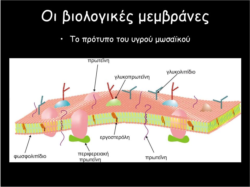 πρότυπο του