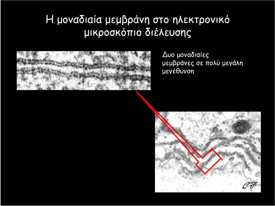 διέλευσης υο μοναδιαίες