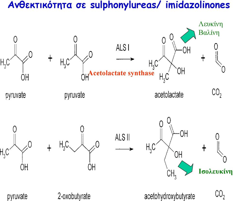 imidazolinones Λευκίνη