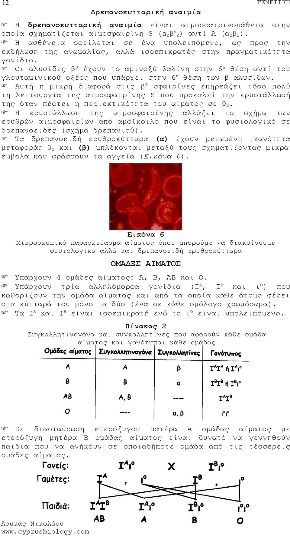 Οι αλυσίδες βs έχουν το αμινοξύ βαλίνη στην 6 η θέση αντί του γλουταμινικού οξέος που υπάρχει στην 6η θέση των β αλυσίδων.