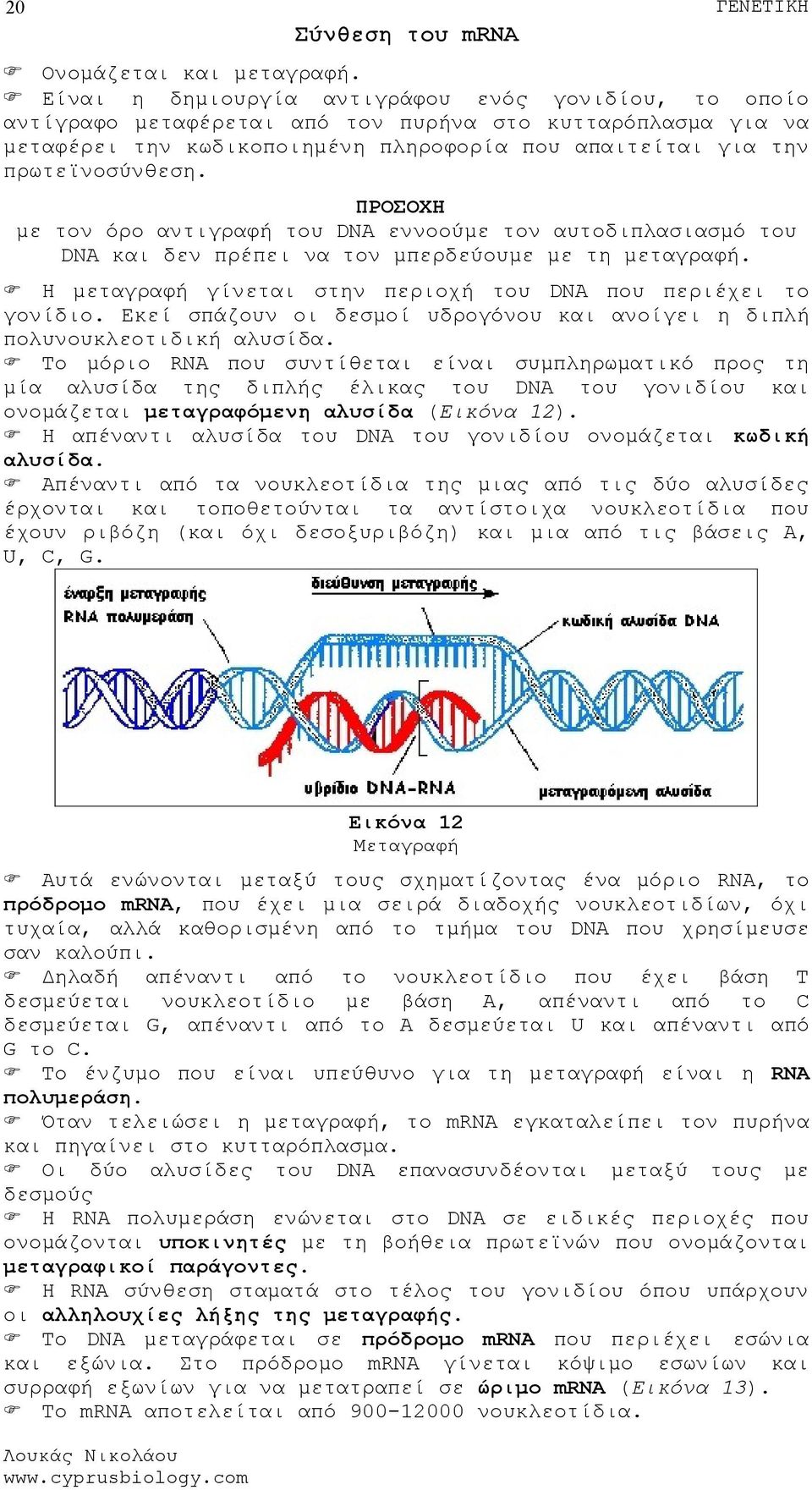 ΠΡΟΣΟΧΗ με τον όρο αντιγραφή του DNA εννοούμε τον αυτοδιπλασιασμό του DNA και δεν πρέπει να τον μπερδεύουμε με τη μεταγραφή. Η μεταγραφή γίνεται στην περιοχή του DNA που περιέχει το γονίδιο.