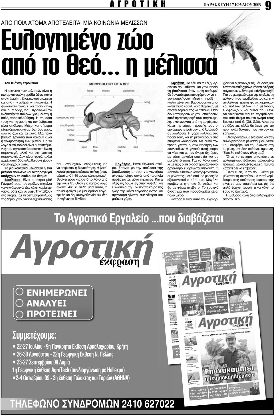 Η σημασία τους για τη φύση και τον άνθρωπο είναι απόλυτη. Μέχρι και σήμερα εξαρτόμαστε από αυτές, τόσο εμείς, όσο τα ζώα και τα φυτά. Μια πολύ βασική εργασία που κάνουν είναι η γονιμοποίηση των φυτών.