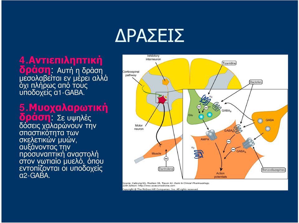 από τους υποδοχείς α1-gaba. 5.