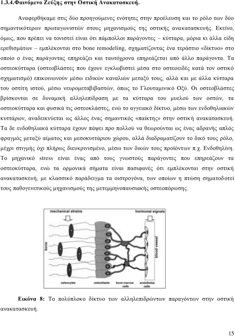 Εκείνο, όμως, που πρέπει να τονιστεί είναι ότι πάμπολλοι παράγοντες κύτταρα, μόρια κι άλλα είδη ερεθισμάτων εμπλέκονται στο bone remodeling, σχηματίζοντας ένα τεράστιο «δίκτυο» στο οποίο ο ένας