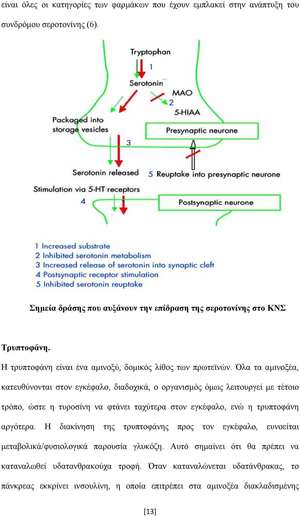 Όλα τα αµινοξέα, κατευθύνονται στον εγκέφαλο, διαδοχικά, ο οργανισµός όµως λειτουργεί µε τέτοιο τρόπο, ώστε η τυροσίνη να φτάνει ταχύτερα στον εγκέφαλο, ενώ η τρυπτοφάνη