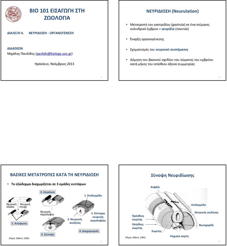 Μιχάλης Παυλίδης (pavlidis@biology.uoc.