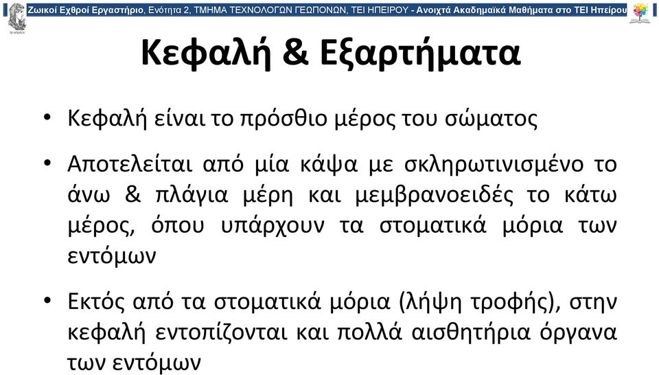 μέρος, όπου υπάρχουν τα στοματικά μόρια των εντόμων Εκτός από τα στοματικά