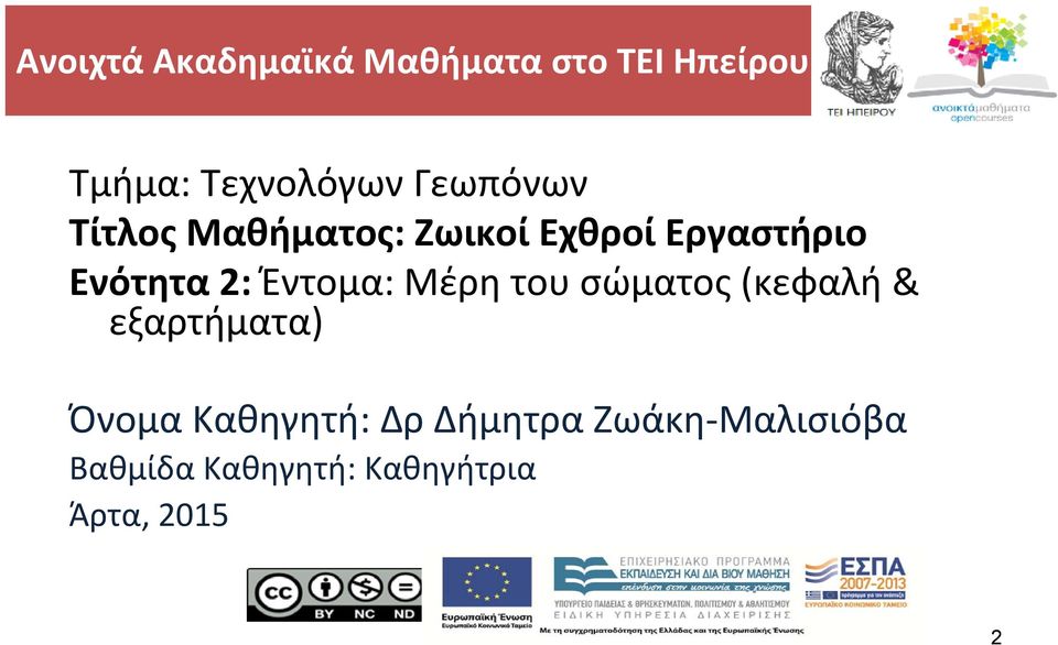 Έντομα: Μέρη του σώματος (κεφαλή & εξαρτήματα) Όνομα Καθηγητή: