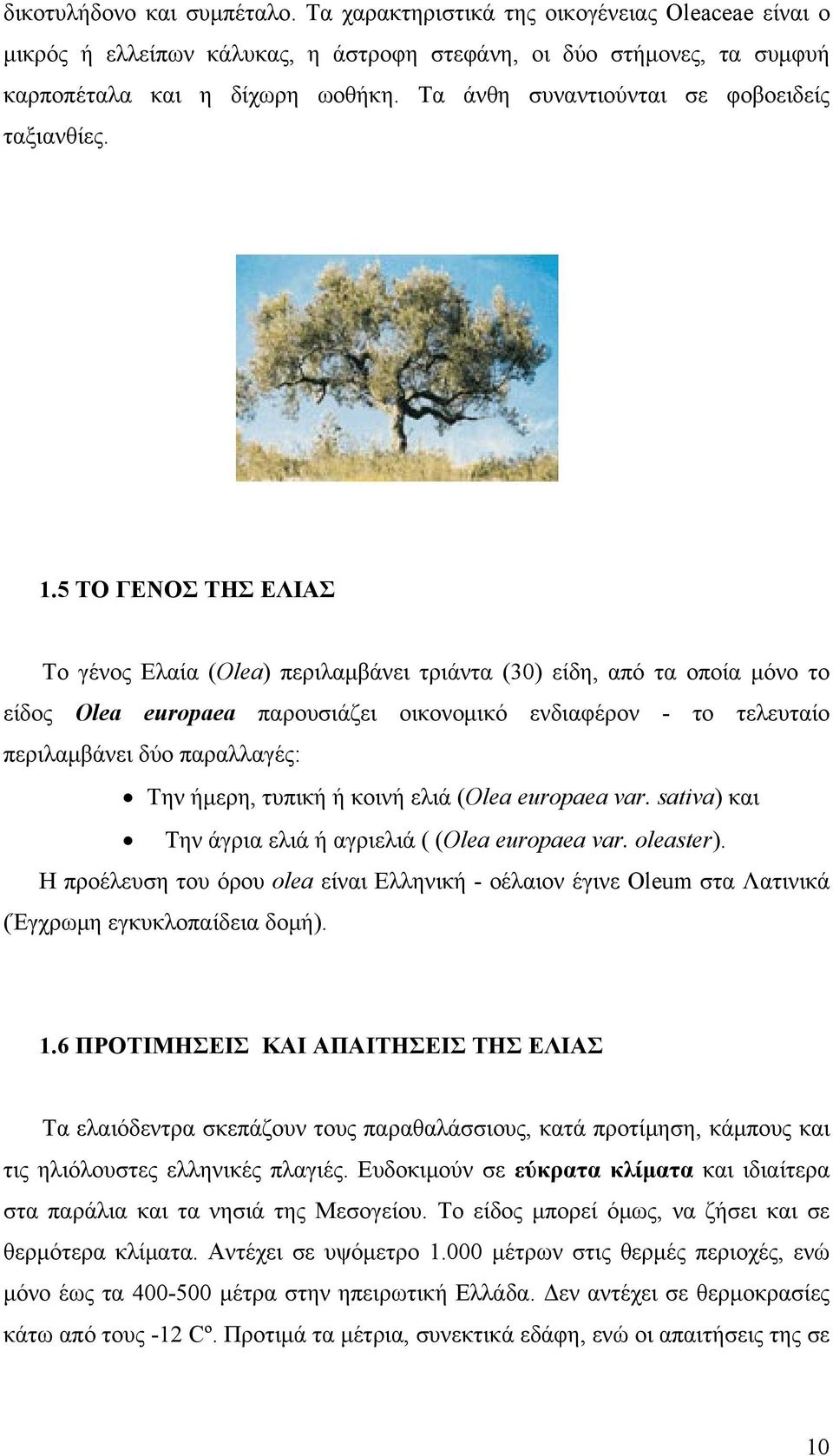 5 ΤΟ ΓΕΝΟΣ ΤΗΣ ΕΛΙΑΣ Το γένος Ελαία (Olea) περιλαμβάνει τριάντα (30) είδη, από τα οποία μόνο το είδος Olea europaea παρουσιάζει οικονομικό ενδιαφέρον - το τελευταίο περιλαμβάνει δύο παραλλαγές: Την