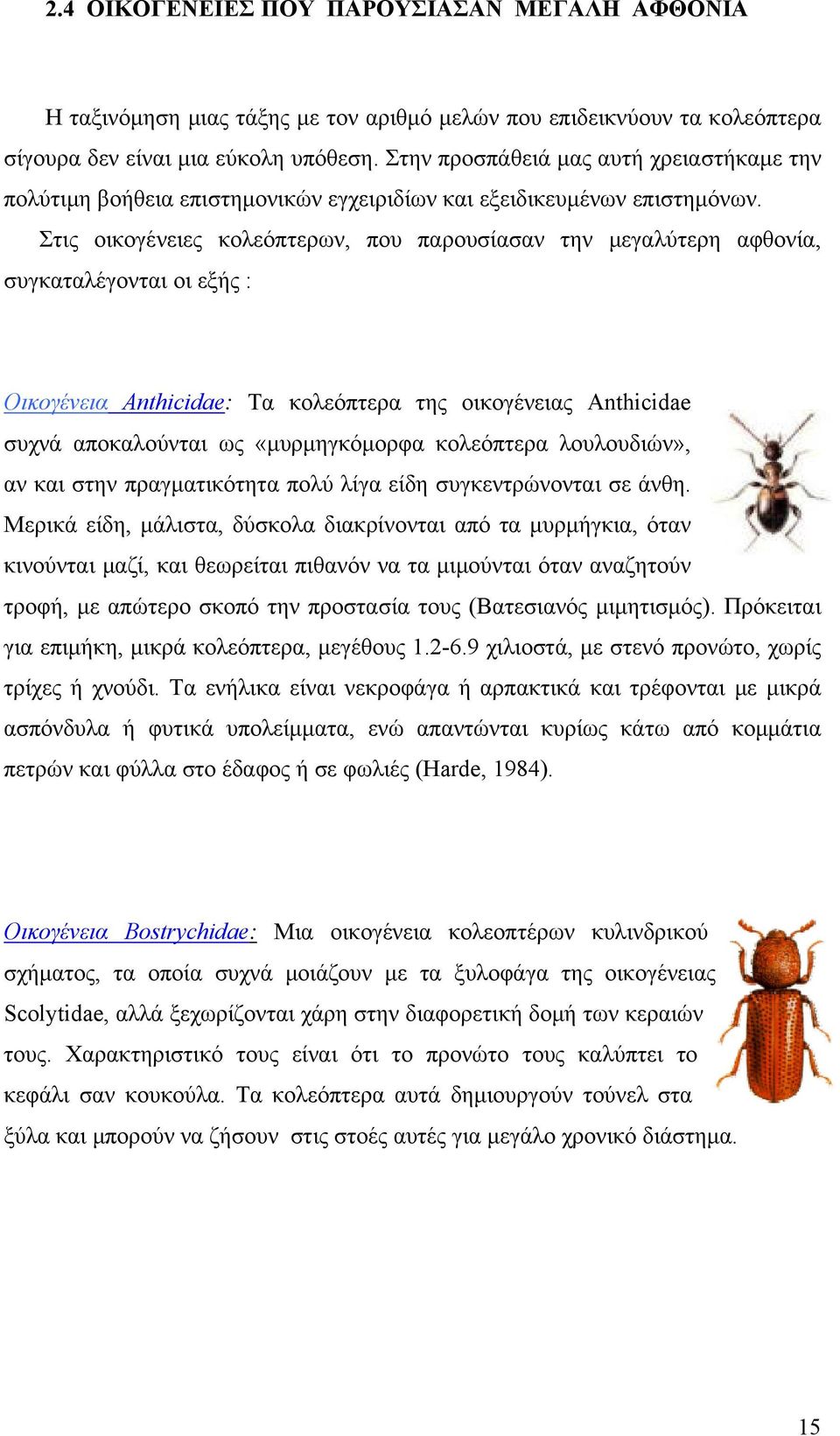 Στις οικογένειες κολεόπτερων, που παρουσίασαν την μεγαλύτερη αφθονία, συγκαταλέγονται οι εξής : Οικογένεια Anthicidae: Τα κολεόπτερα της οικογένειας Anthicidae συχνά αποκαλούνται ως «μυρμηγκόμορφα