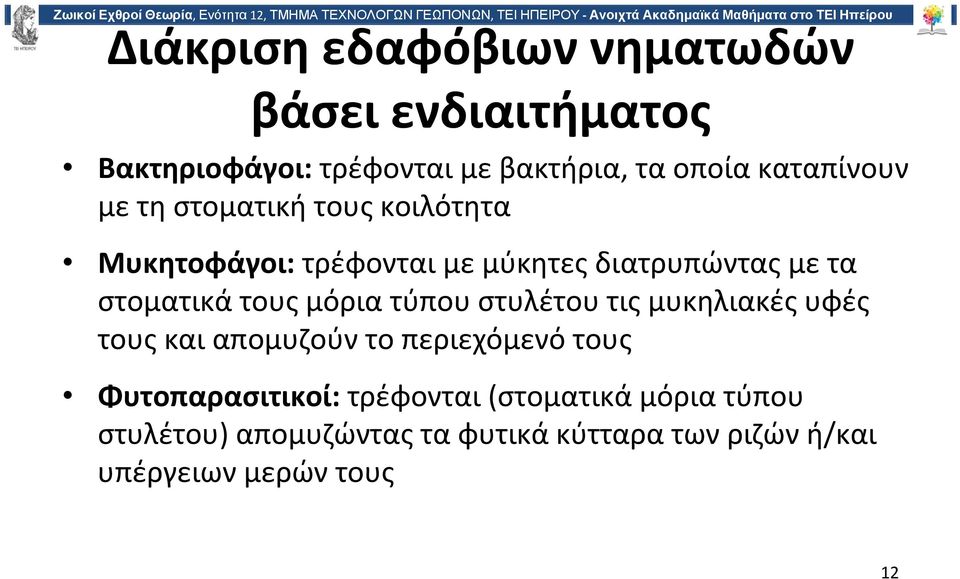 στοματικά τους μόρια τύπου στυλέτου τις μυκηλιακές υφές τους και απομυζούν το περιεχόμενό τους