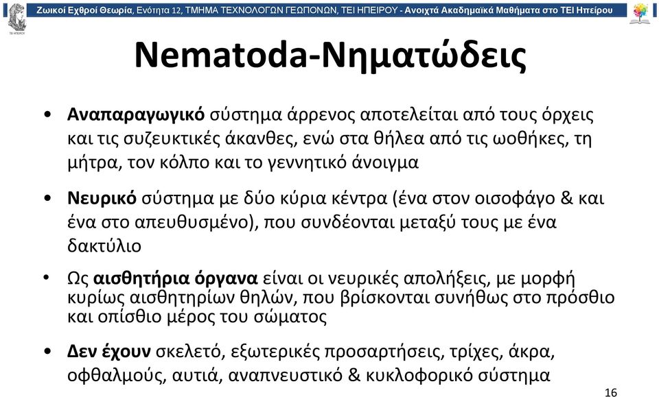 μεταξύ τους με ένα δακτύλιο Ως αισθητήρια όργανα είναι οι νευρικές απολήξεις, με μορφή κυρίως αισθητηρίων θηλών, που βρίσκονται συνήθως στο