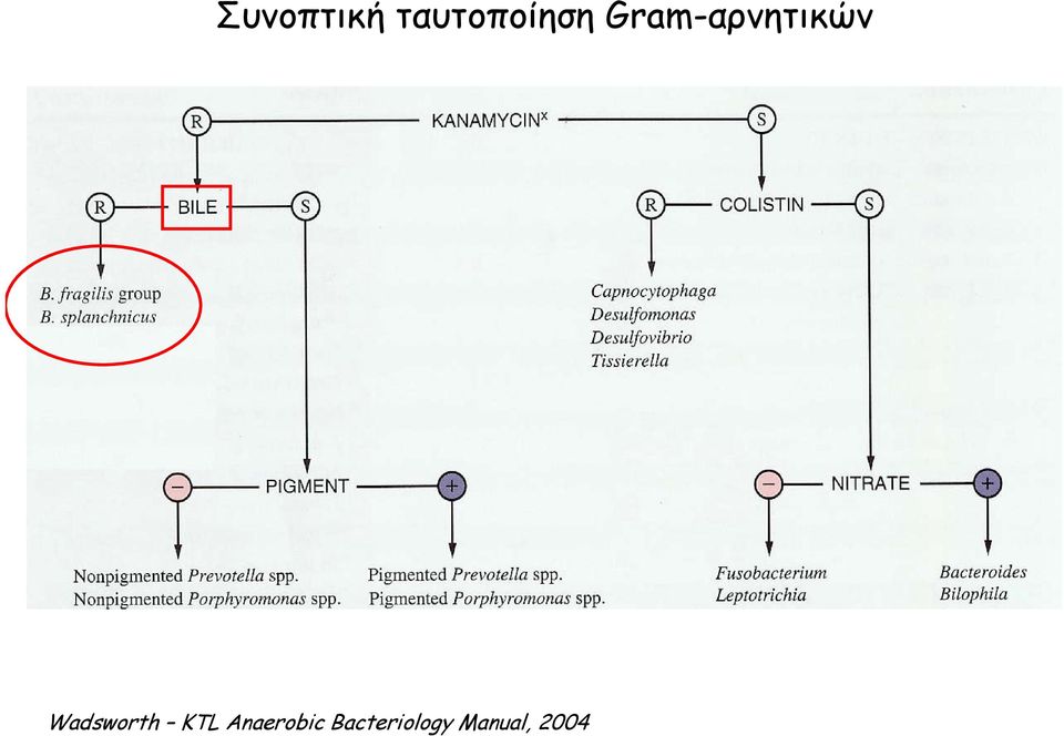 Wadsworth KTL