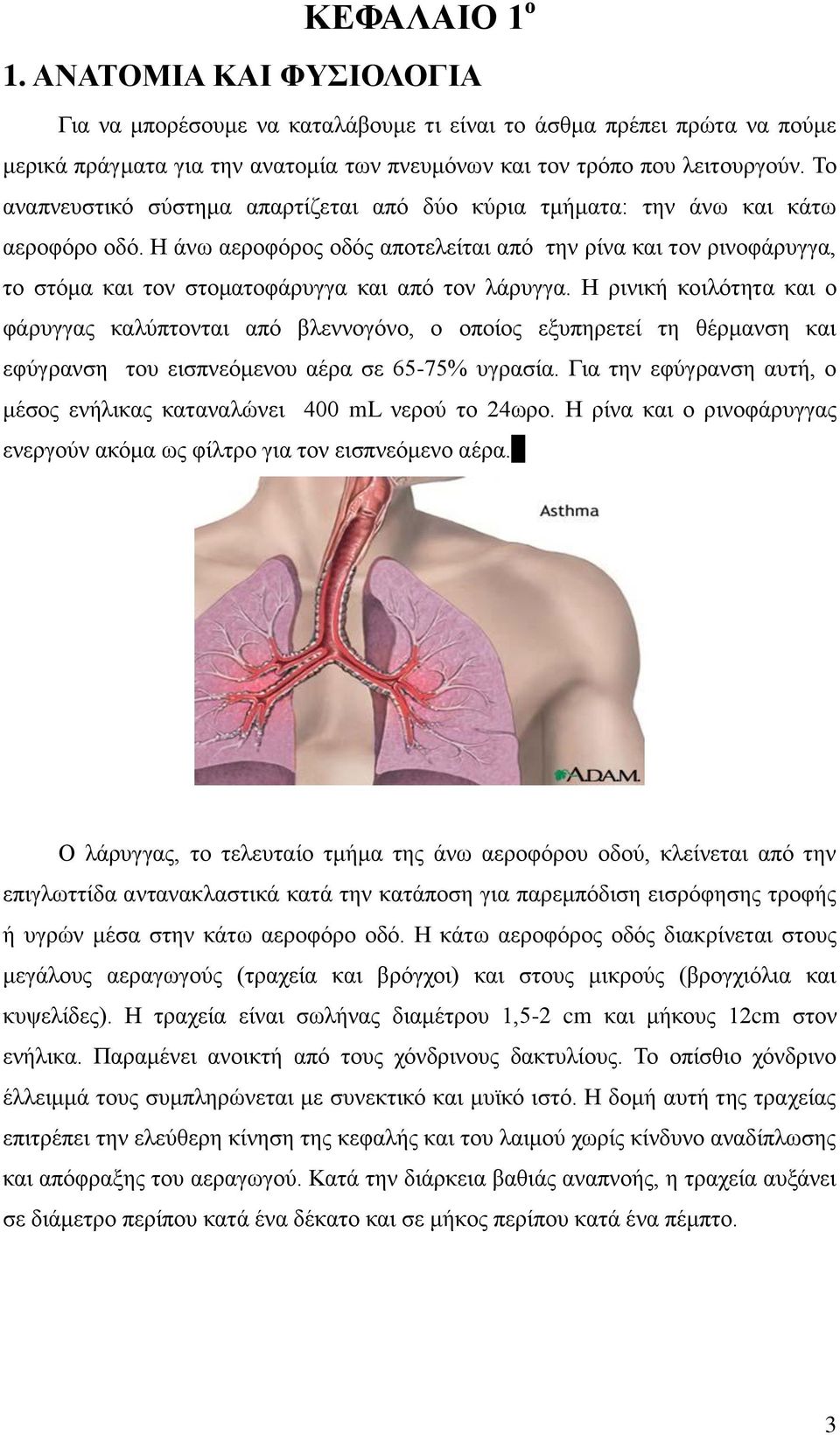 Η άνω αεροφόρος οδός αποτελείται από την ρίνα και τον ρινοφάρυγγα, το στόμα και τον στοματοφάρυγγα και από τον λάρυγγα.