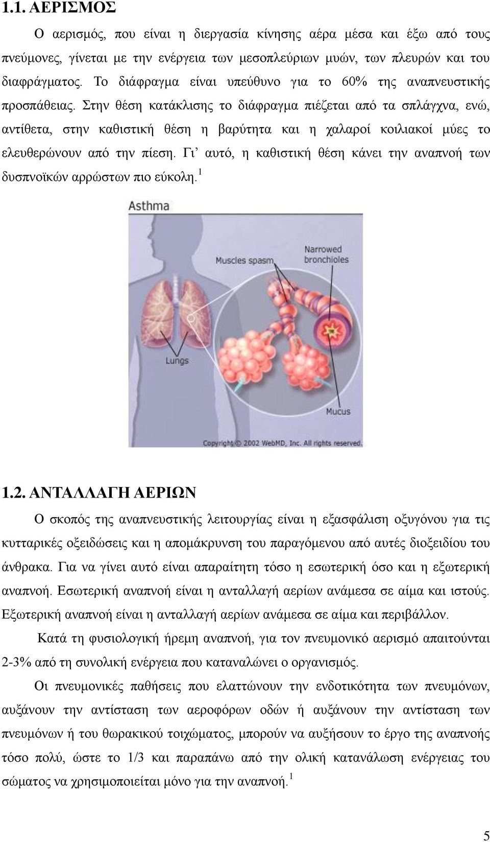 Στην θέση κατάκλισης το διάφραγμα πιέζεται από τα σπλάγχνα, ενώ, αντίθετα, στην καθιστική θέση η βαρύτητα και η χαλαροί κοιλιακοί μύες το ελευθερώνουν από την πίεση.