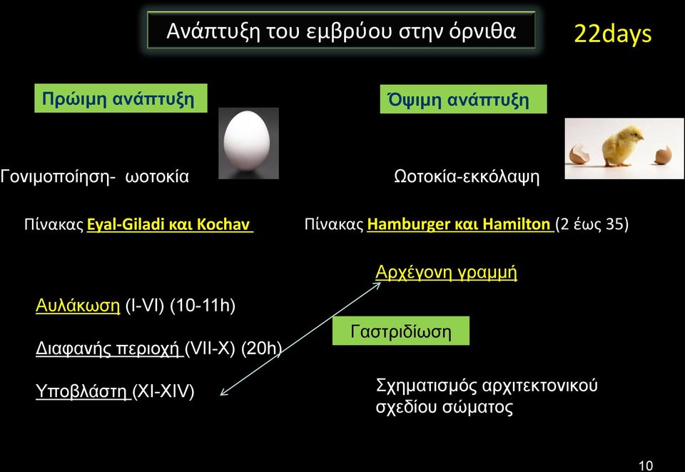 Hamburger και Hamilton (2 έως 35) Αρχέγονη γραμμή Αυλάκωση (I-VI) (10-11h)