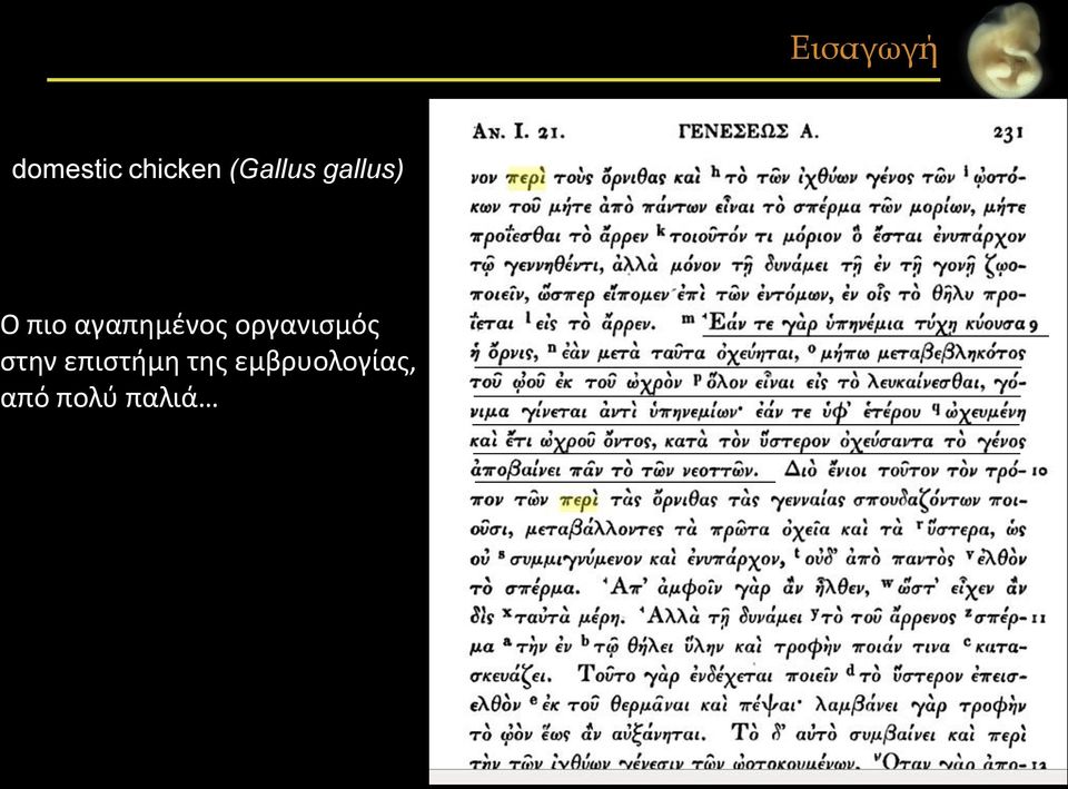 αγαπημένος οργανισμός στην