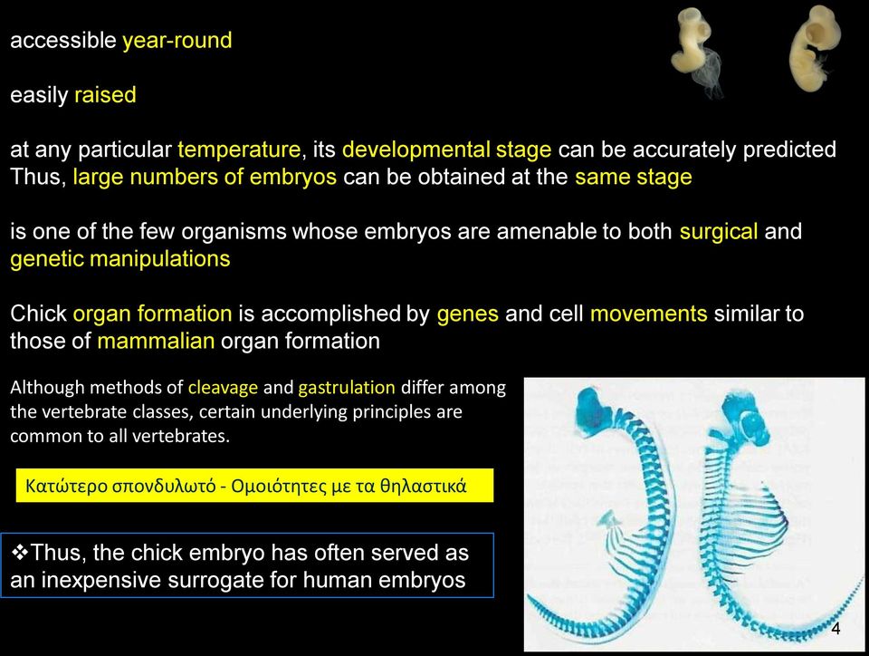 movements similar to those of mammalian organ formation Although methods of cleavage and gastrulation differ among the vertebrate classes, certain underlying principles