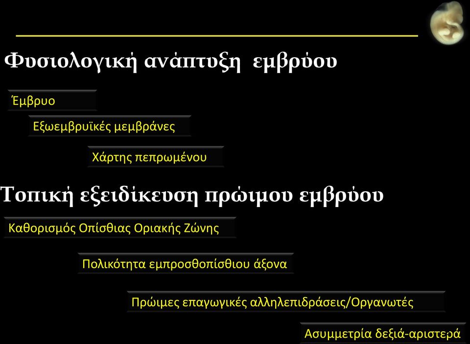 Καθορισμός Οπίσθιας Οριακής Ζώνης Πολικότητα εμπροσθοπίσθιου