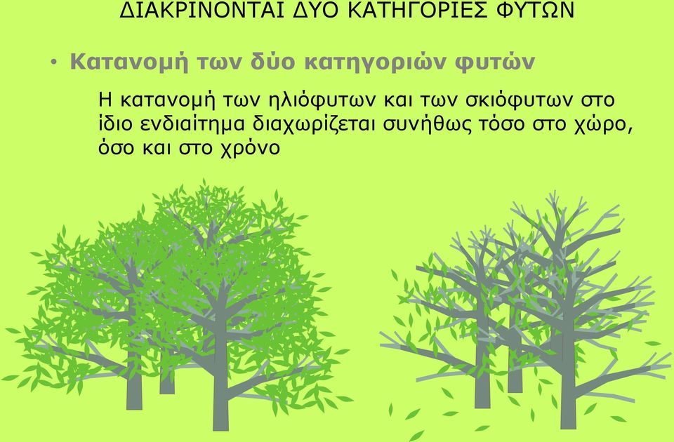 ηλιόφυτων και των σκιόφυτων στο ίδιο