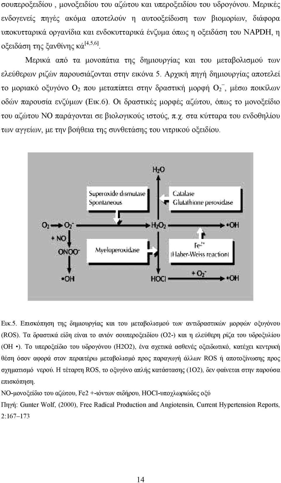 Μερικά από τα µονοπάτια της δηµιουργίας και του µεταβολισµού των ελεύθερων ριζών παρουσιάζονται στην εικόνα 5.