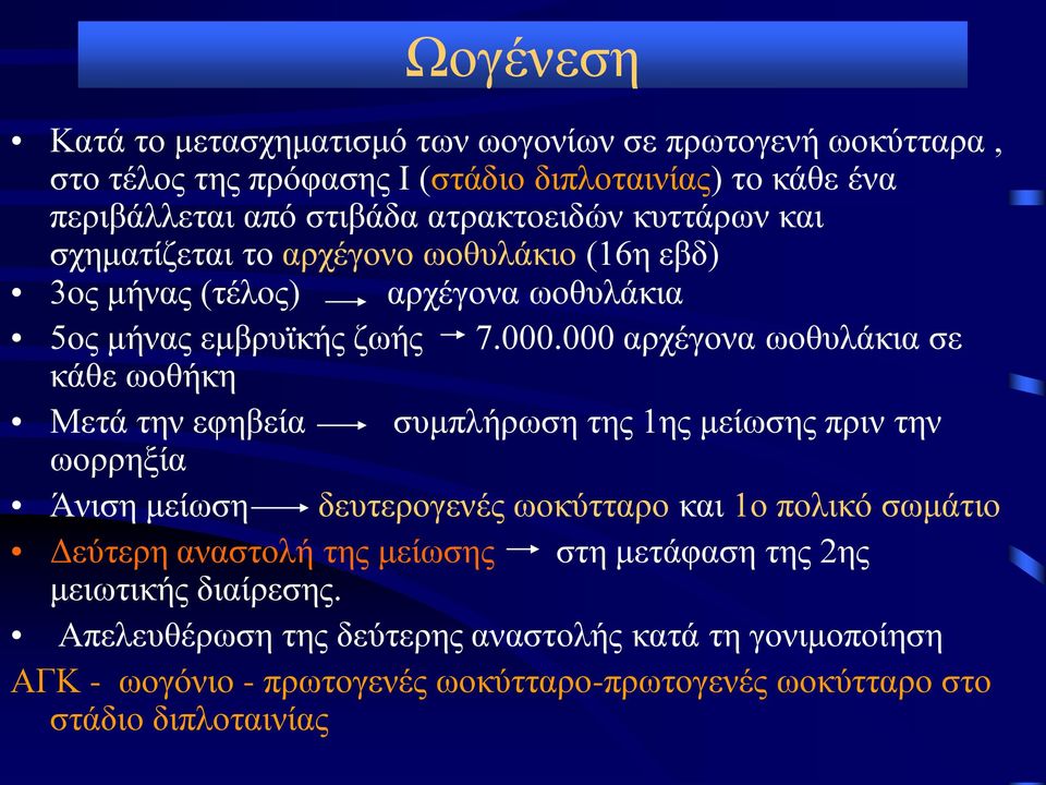 000 αρχέγονα ωοθυλάκια σε κάθε ωοθήκη Μετά την εφηβεία συμπλήρωση της 1ης μείωσης πριν την ωορρηξία Άνιση μείωση δευτερογενές ωοκύτταρο και 1ο πολικό σωμάτιο