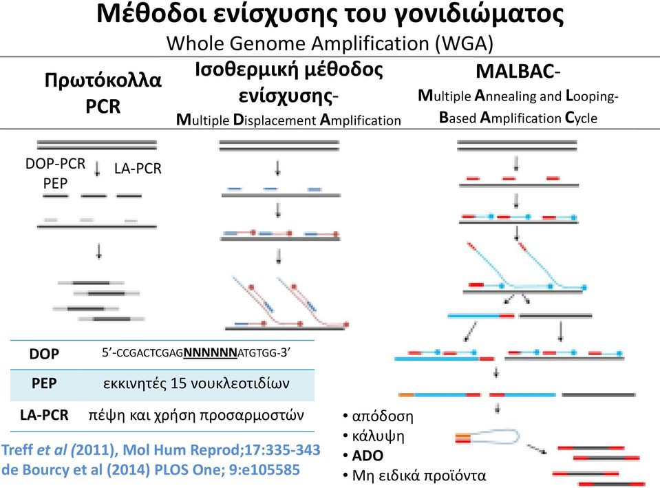 LA-PCR DOP PEP 5 -CCGACTCGAGNNNNNNATGTGG-3 εκκινητές 15 νουκλεοτιδίων LA-PCR πέψη και χρήση προσαρμοστών Treff et
