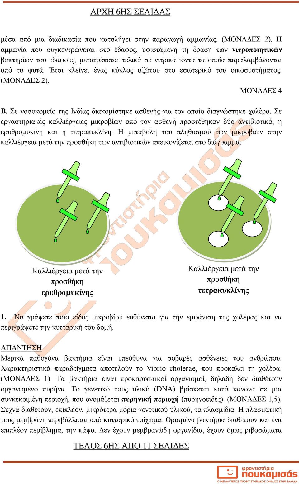 Έτσι κλείνει ένας κύκλος αζώτου στο εσωτερικό του οικοσυστήματος. (ΜΟΝΑΔΕΣ 2). ΜΟΝΑΔΕΣ 4 Β. Σε νοσοκομείο της Ινδίας διακομίστηκε ασθενής για τον οποίο διαγνώστηκε χολέρα.