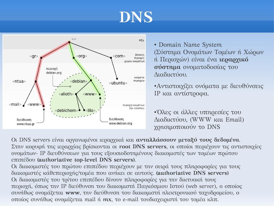 Στην κορυφή της ιεραρχίας βρίσκονται οι root DNS servers, οι οποίοι περιέχουν τις αντιστοιχίες ονομάτων- IP διευθύνσεων για τους εξουσιοδοτημένους διακομιστές των τομέων πρώτου επιπέδου (authoriative