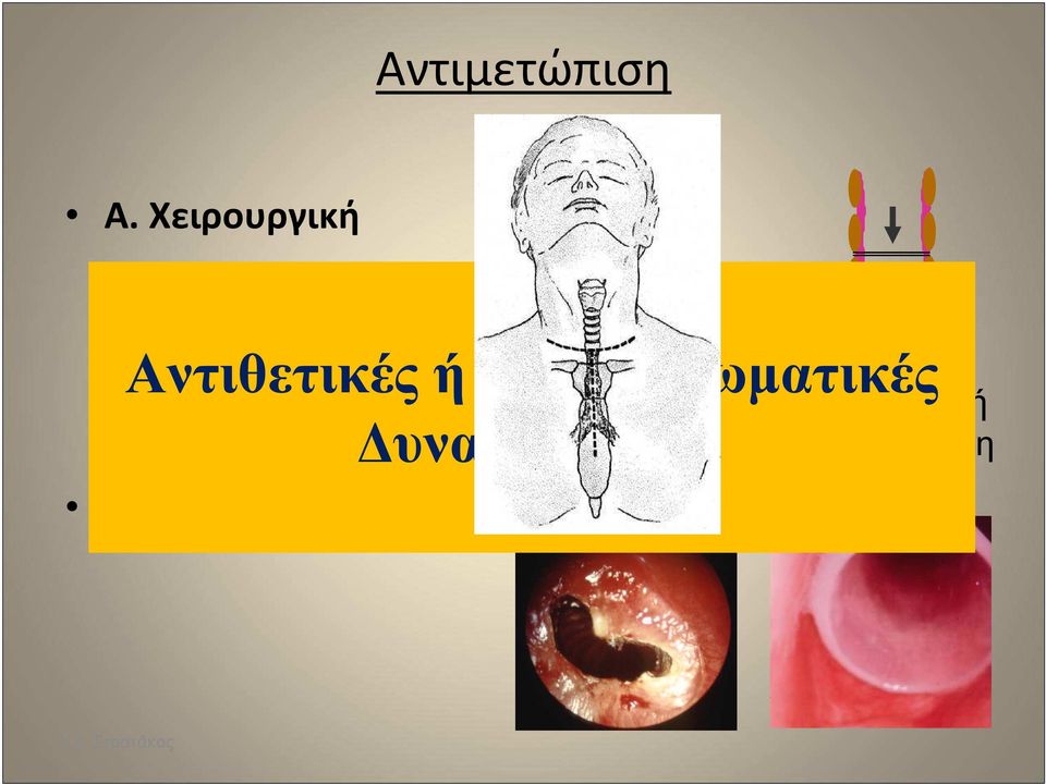 Συµπληρωµατικές Β.